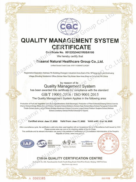 ISO 9001 EN