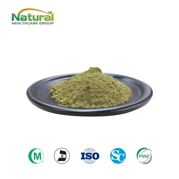 कच्चा जौ घास पाउडर