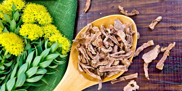 Rhodiola Rosea Extract के 5 स्वास्थ्य लाभ